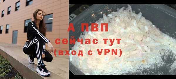 apvp Верея